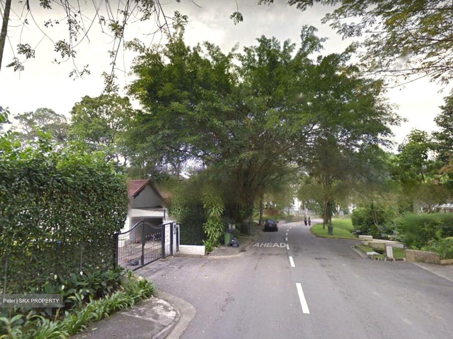 Bukit Timah Estate (D10), Detached #468537081